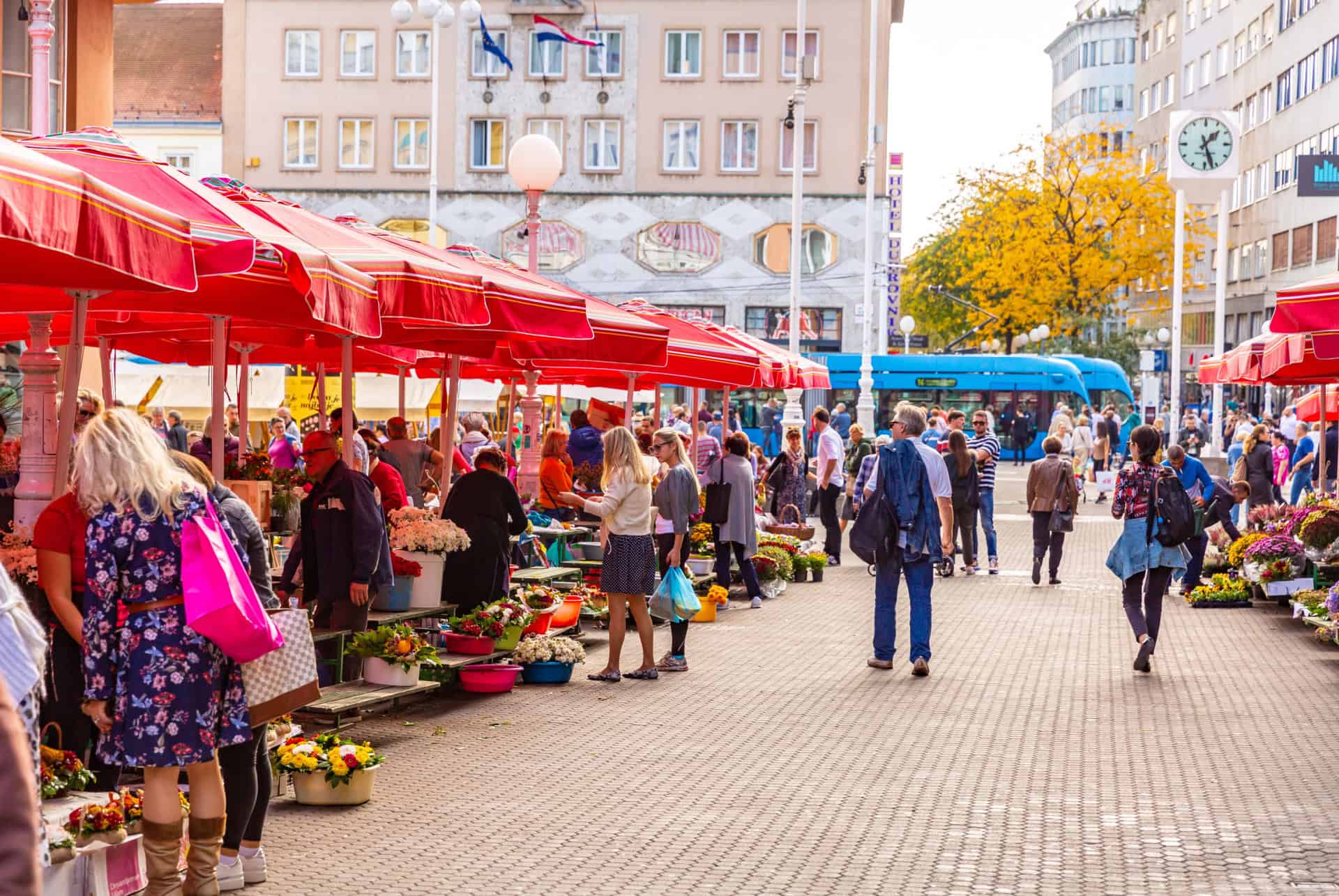 marche dolac zagreb