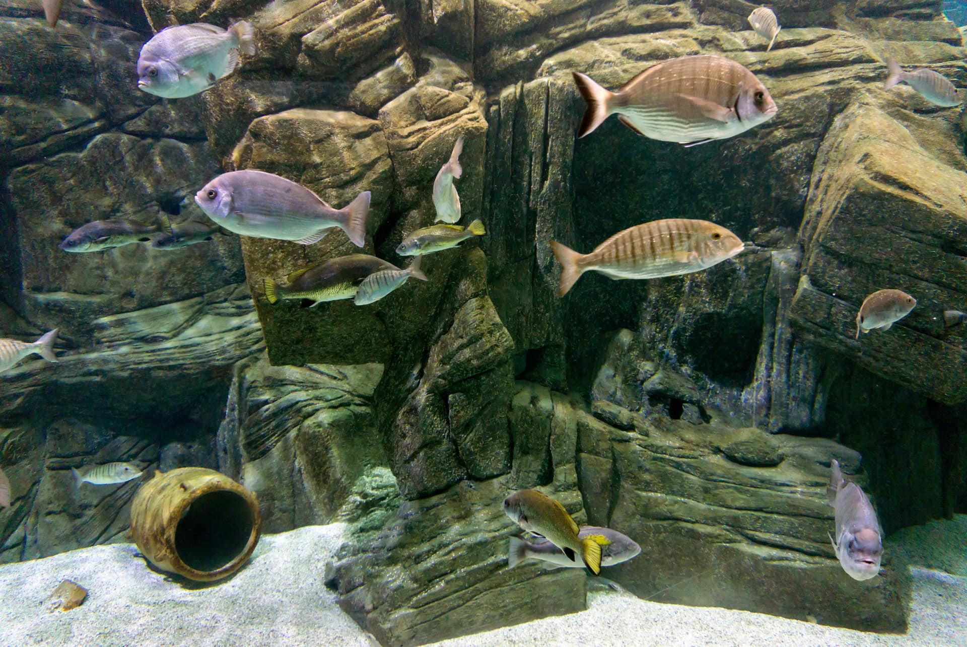 que faire a heraklion aquarium
