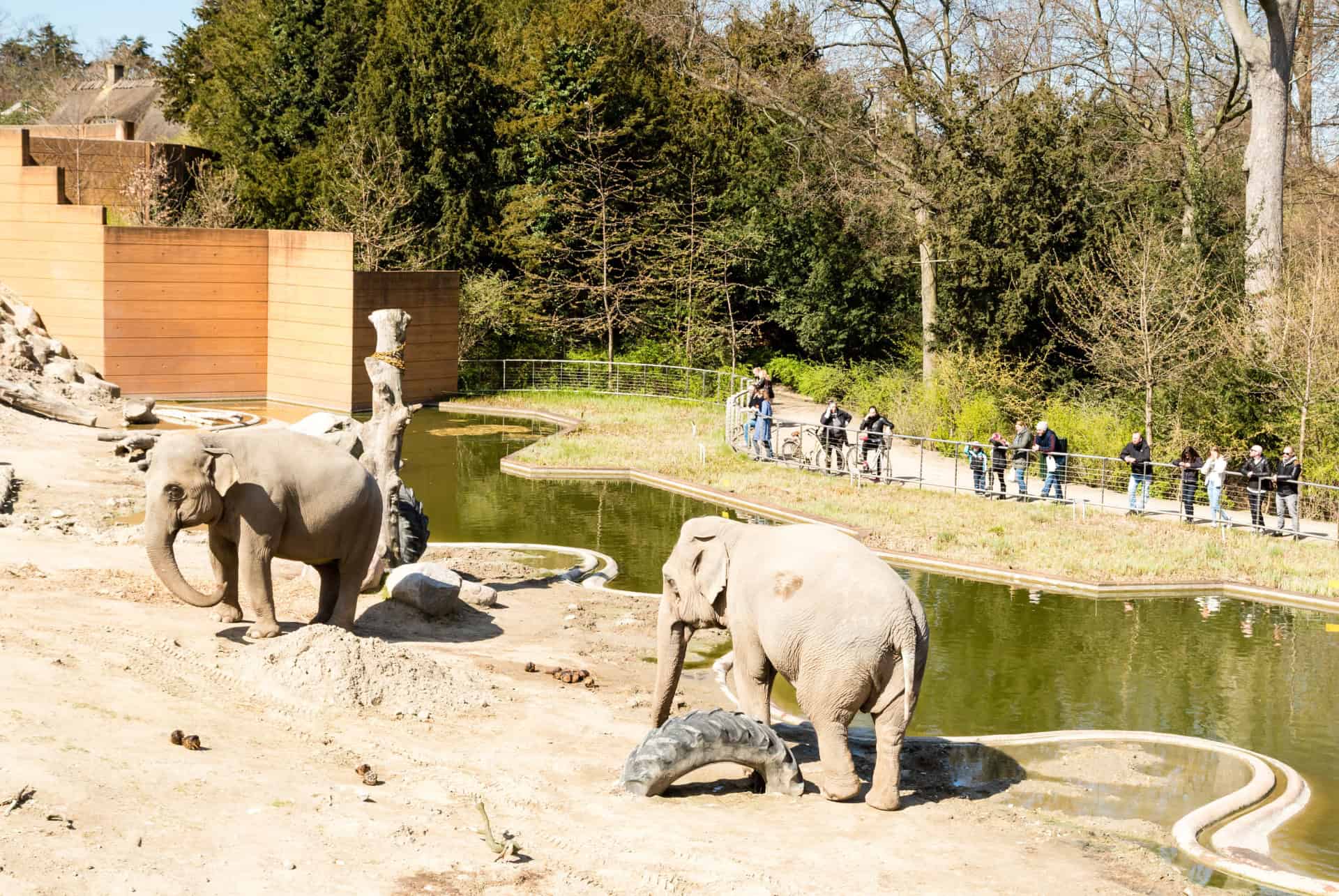 frederiksberg have zoo copenhague