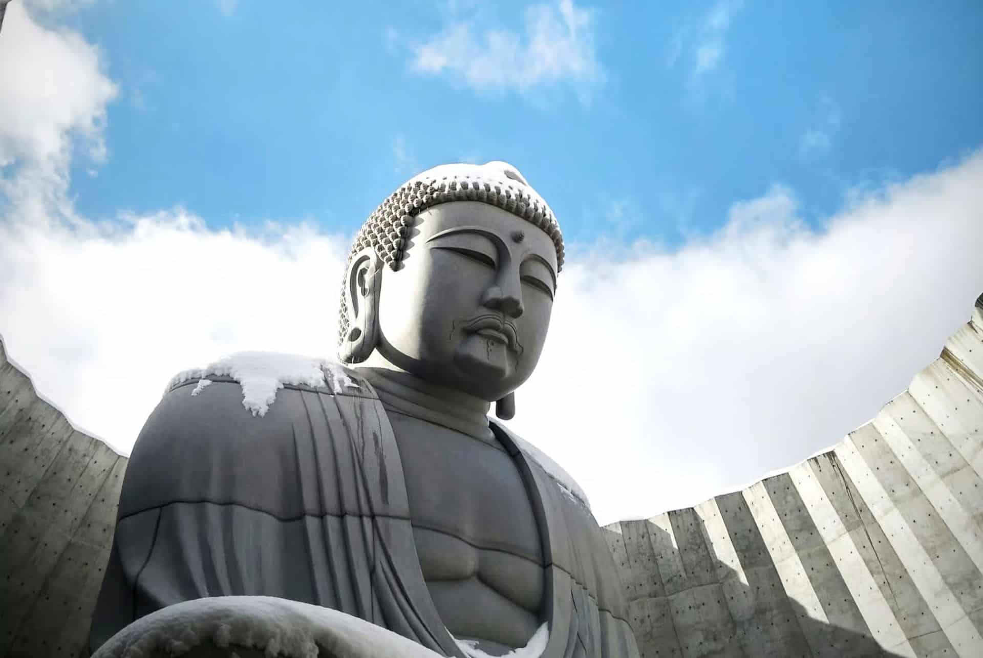 colline du bouddha road trip au japon