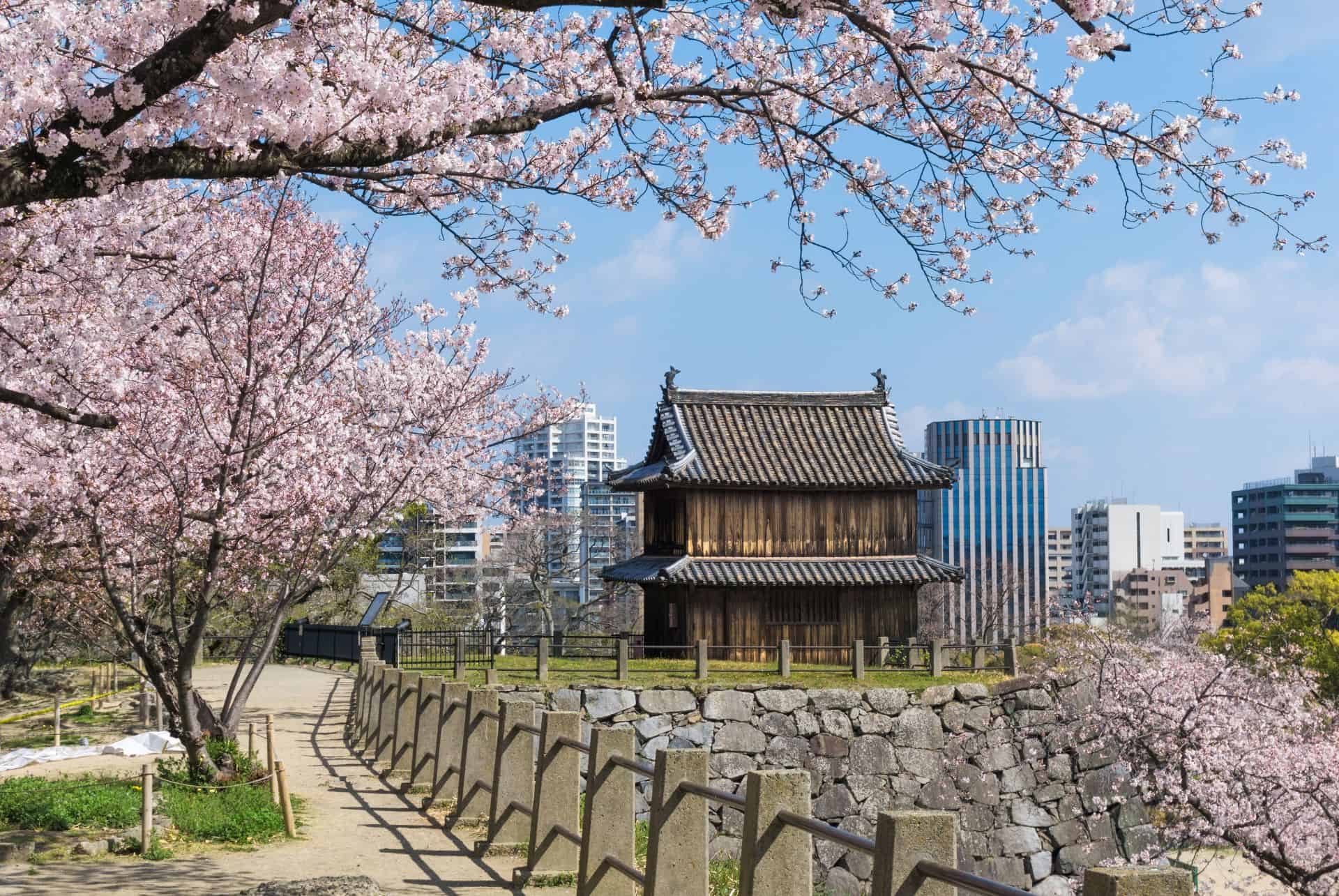 fukuoka road trip au japon