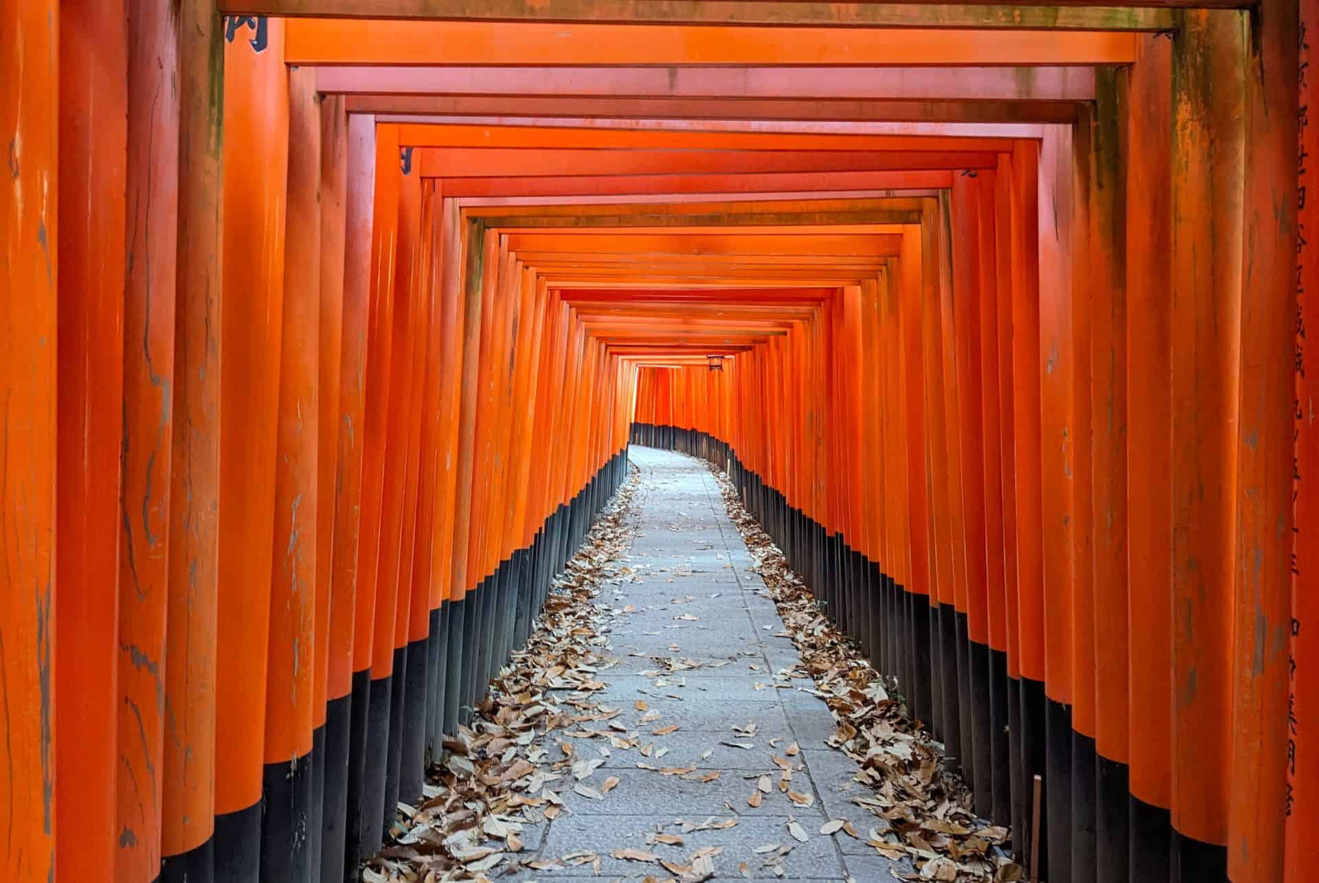 fushimi inari taisha road trip au japon
