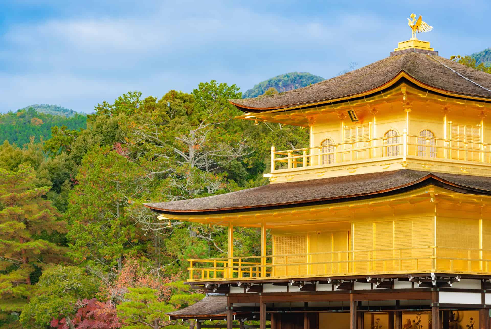 kinkakuji road trip au japon