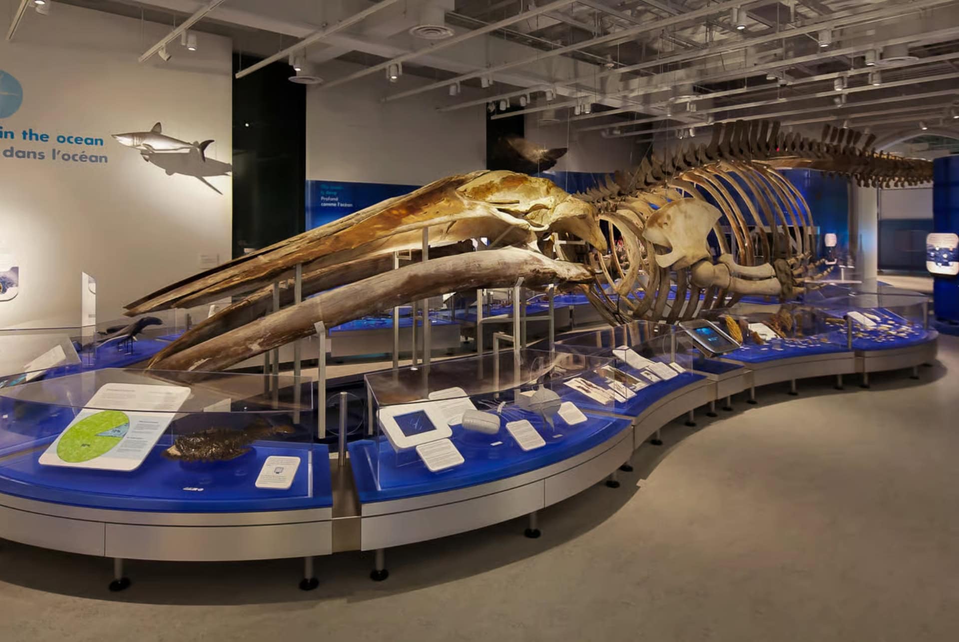 musee canadien de la nature