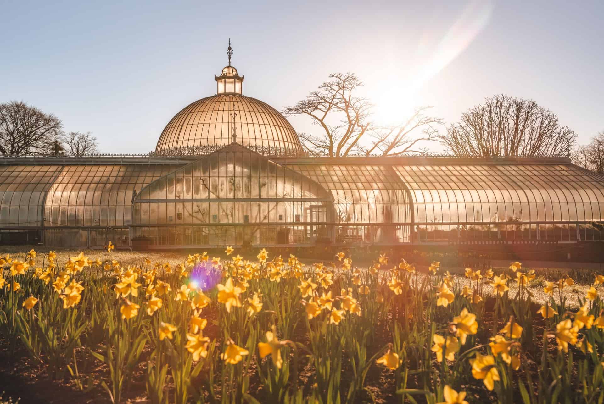 jardin botanique de glasgow