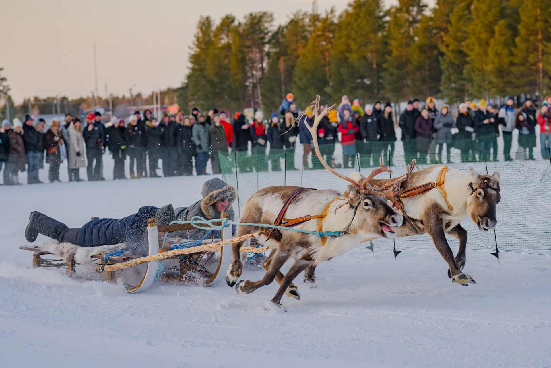 jokkmokk
