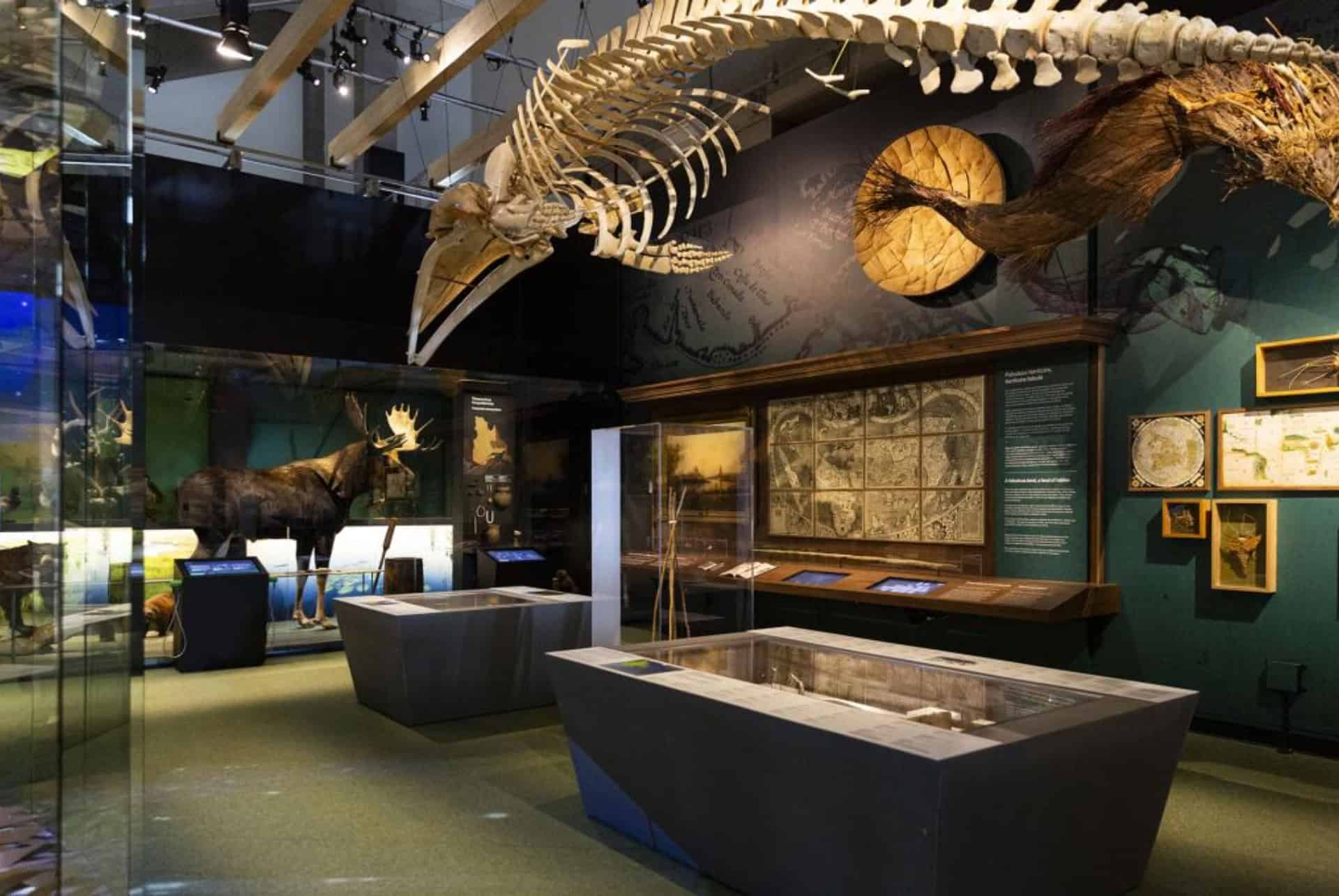 quebec en 3 jours musee de la civilisation