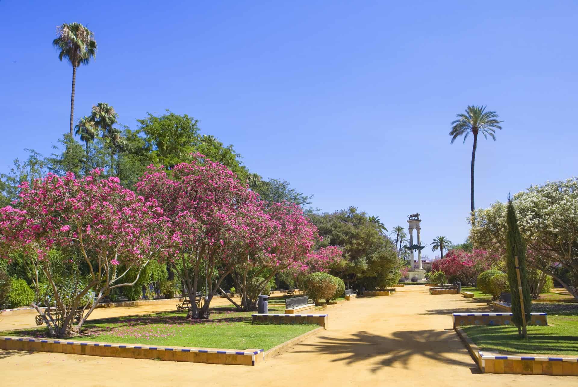 jardin murillo