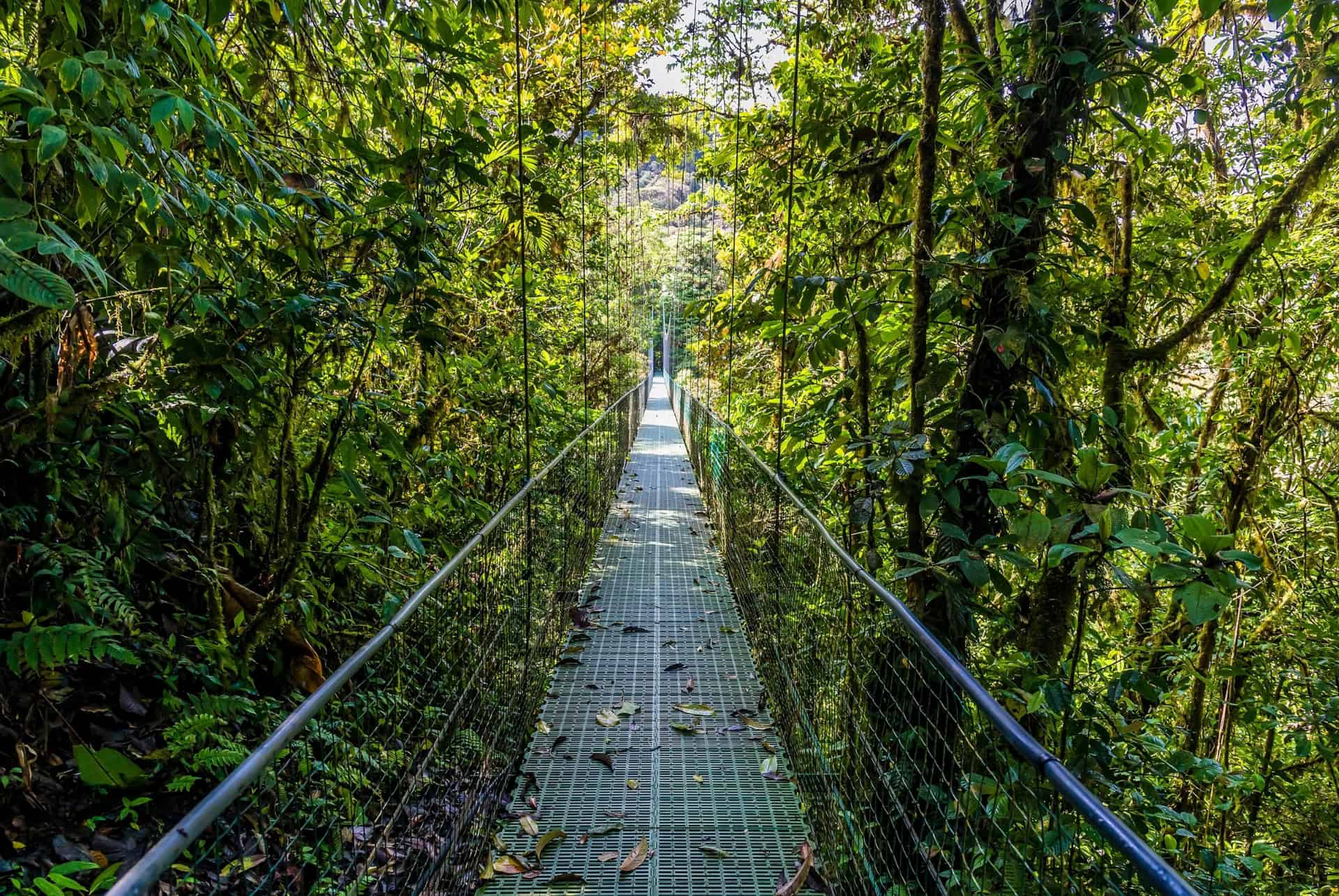 monteverde costa rica