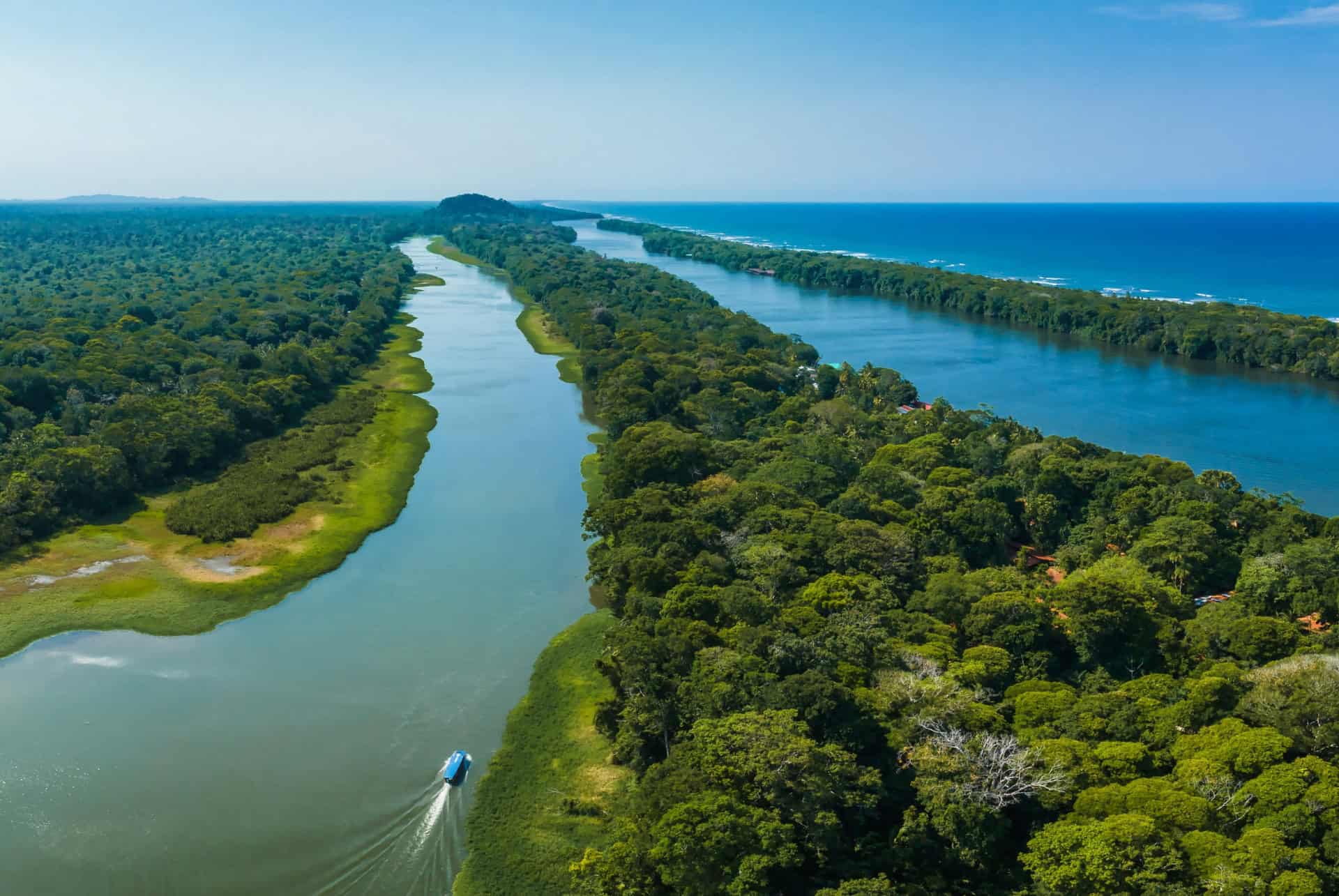 tortuguero