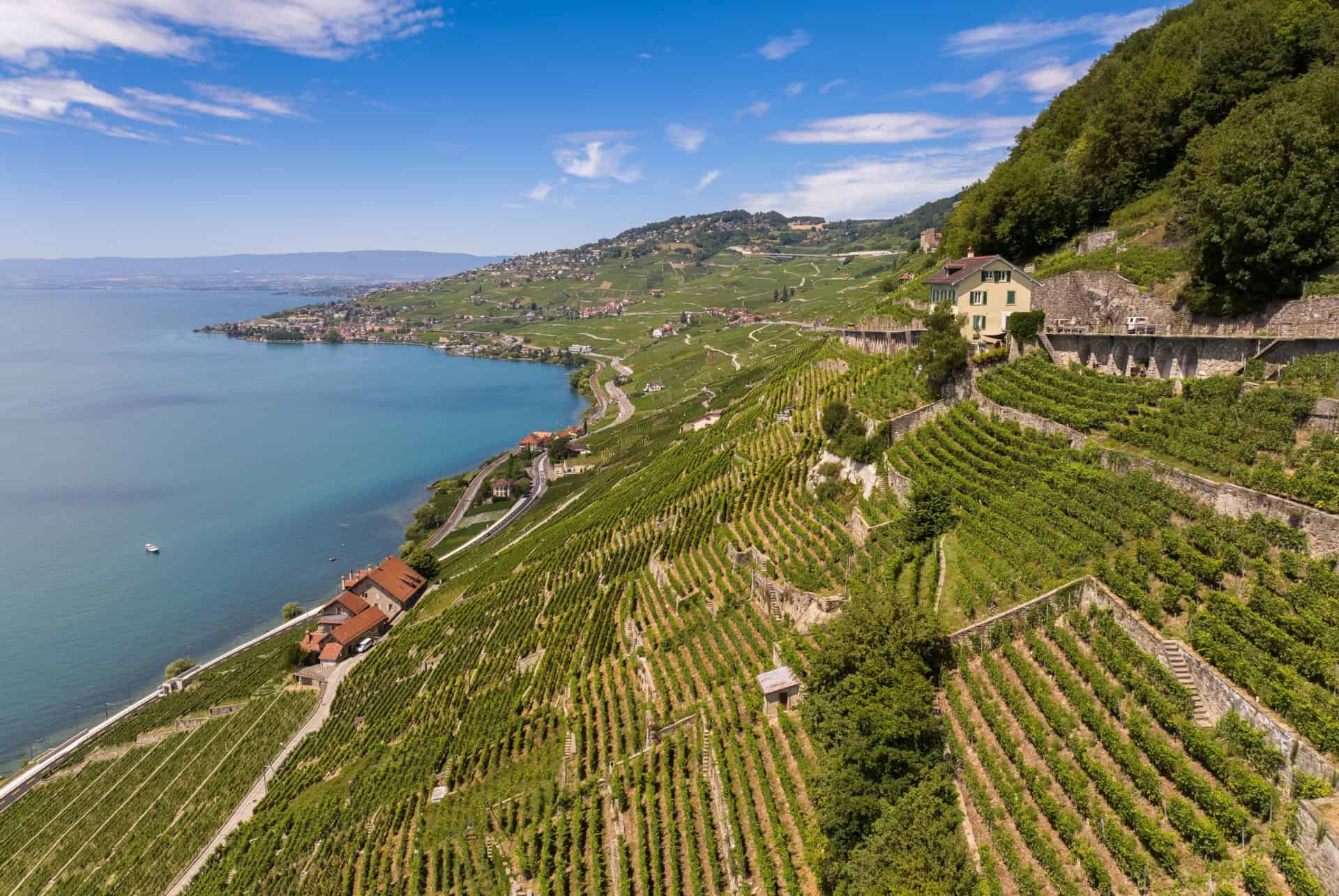 vignobles de lavaux