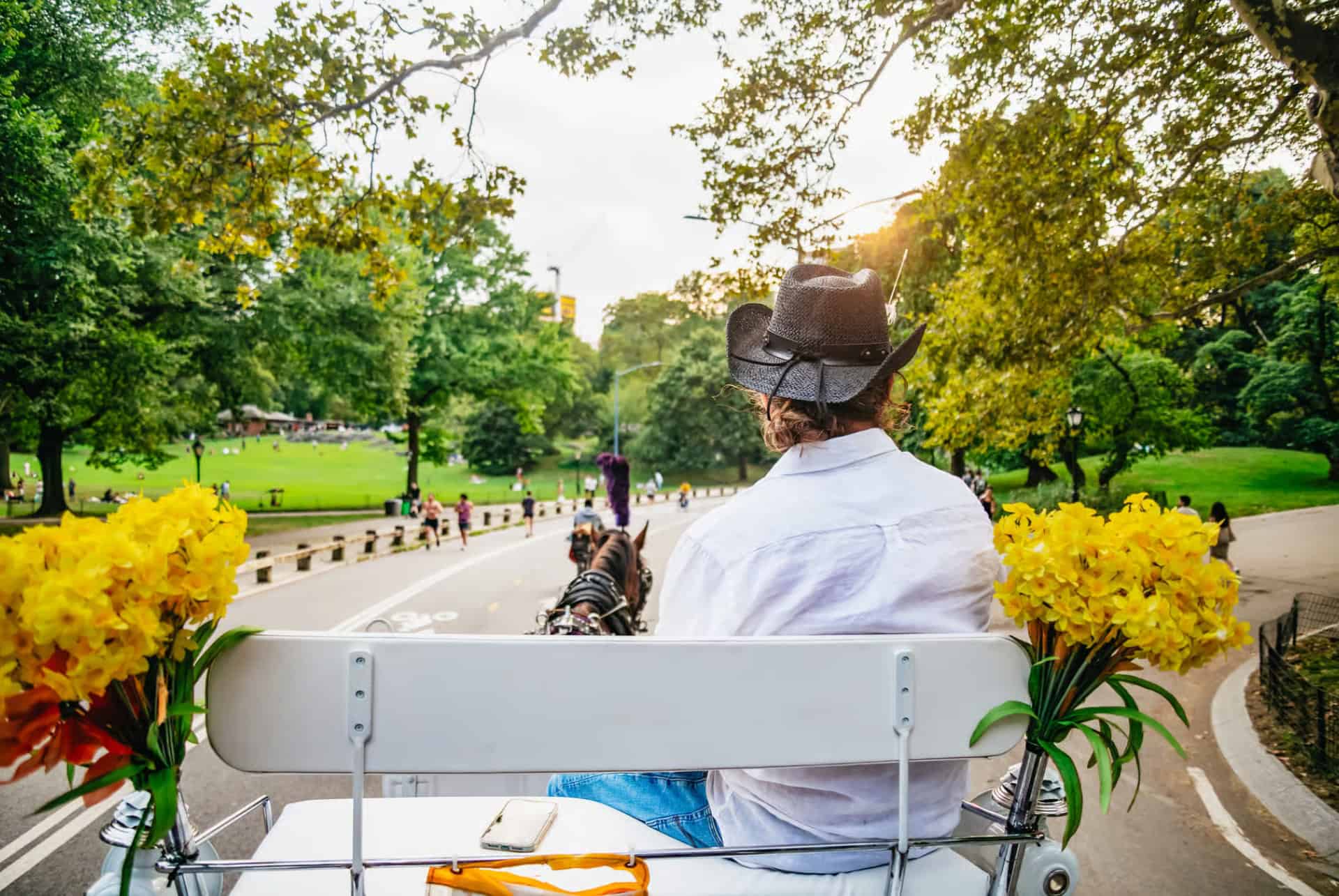 balade en caleche central park