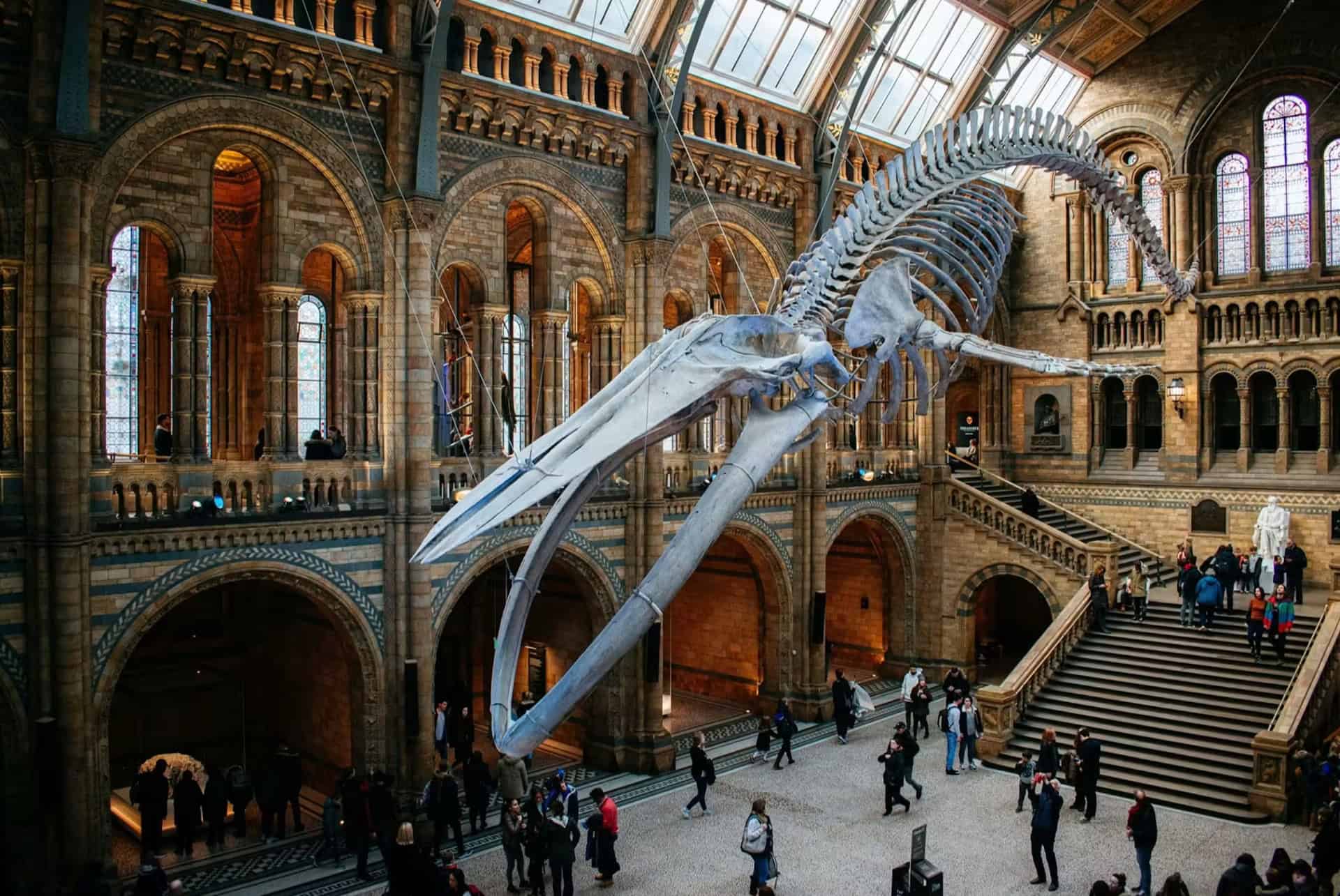 billet entree musee histoire naturelle londres