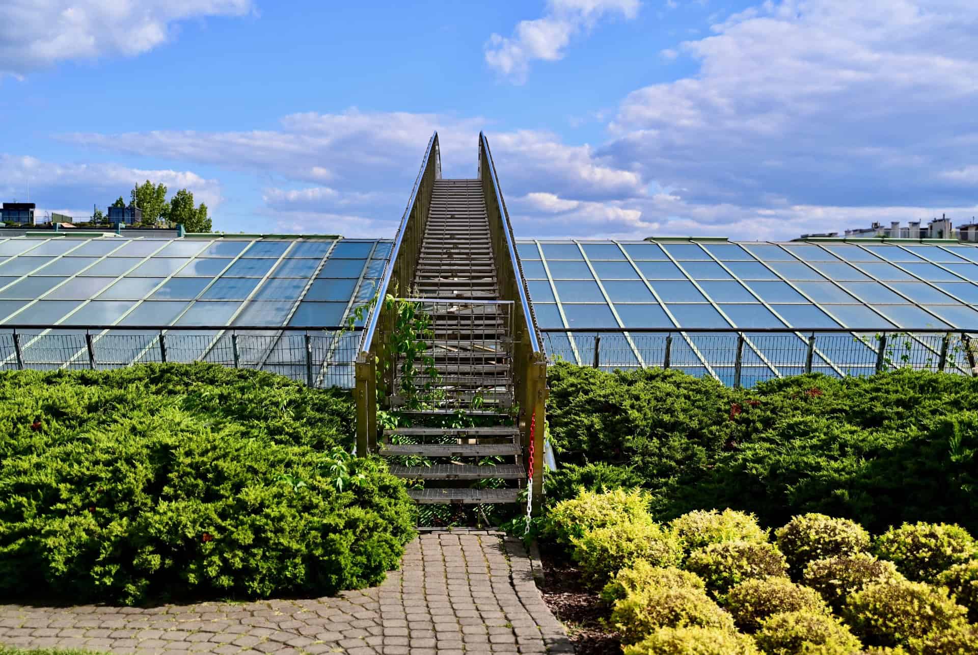 jardin bibliotheque universitaire