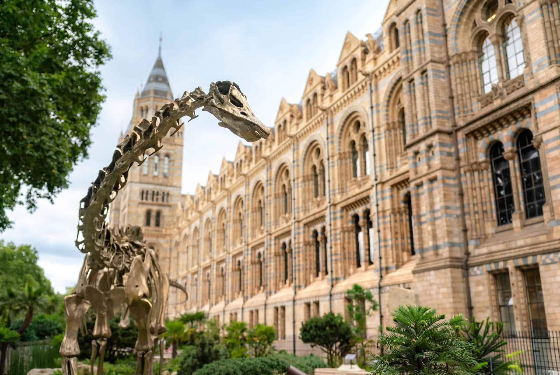 musee histoire naturelle londres exterieur