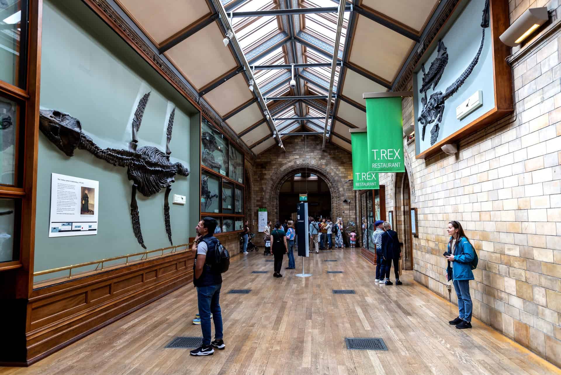 musee histoire naturelle londres galerie