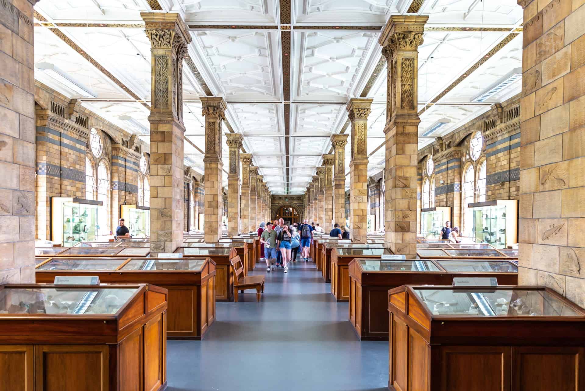 musee histoire naturelle londres interieur