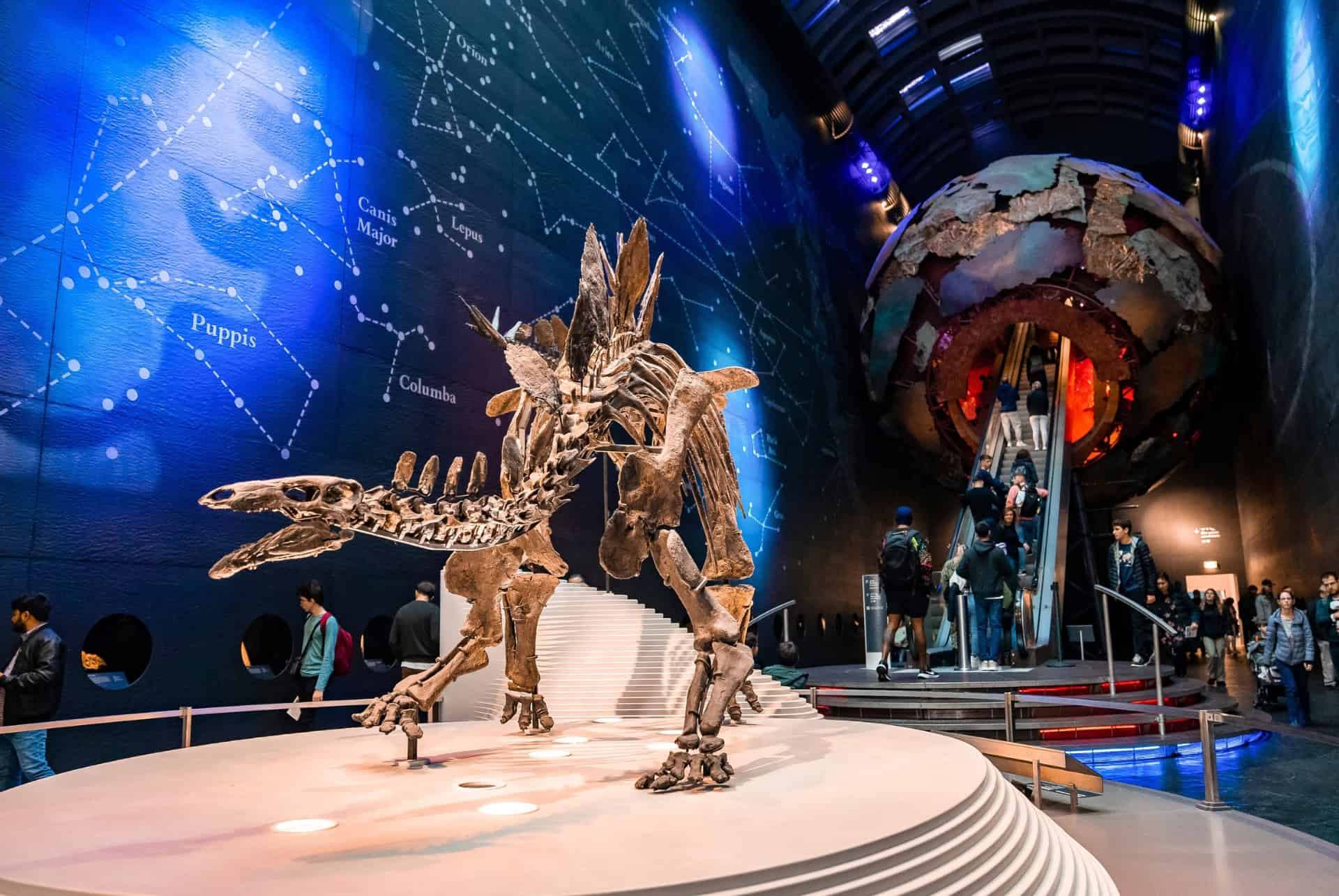 musee histoire naturelle londres visite
