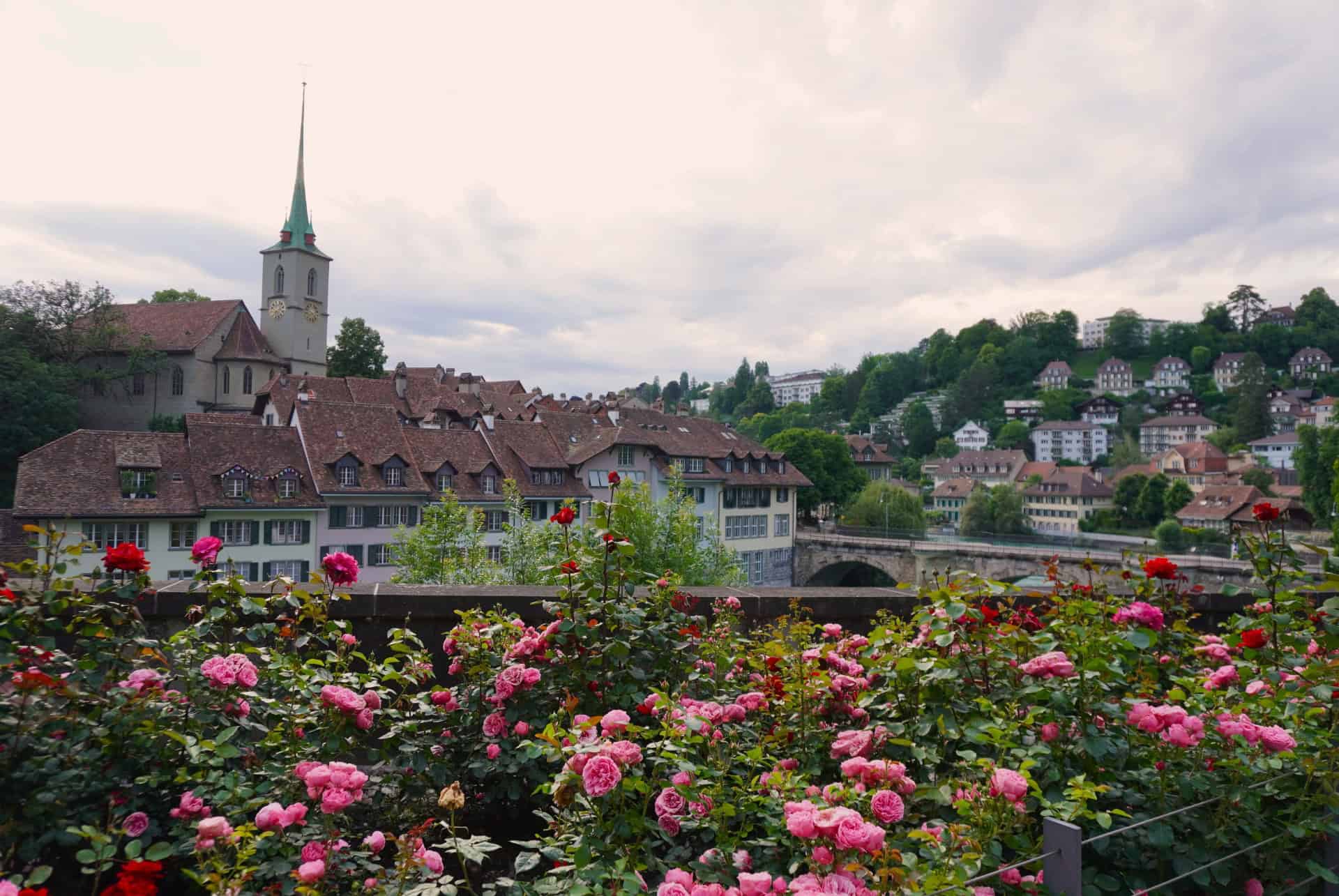 quartier jardin des roses ou dormir a berne