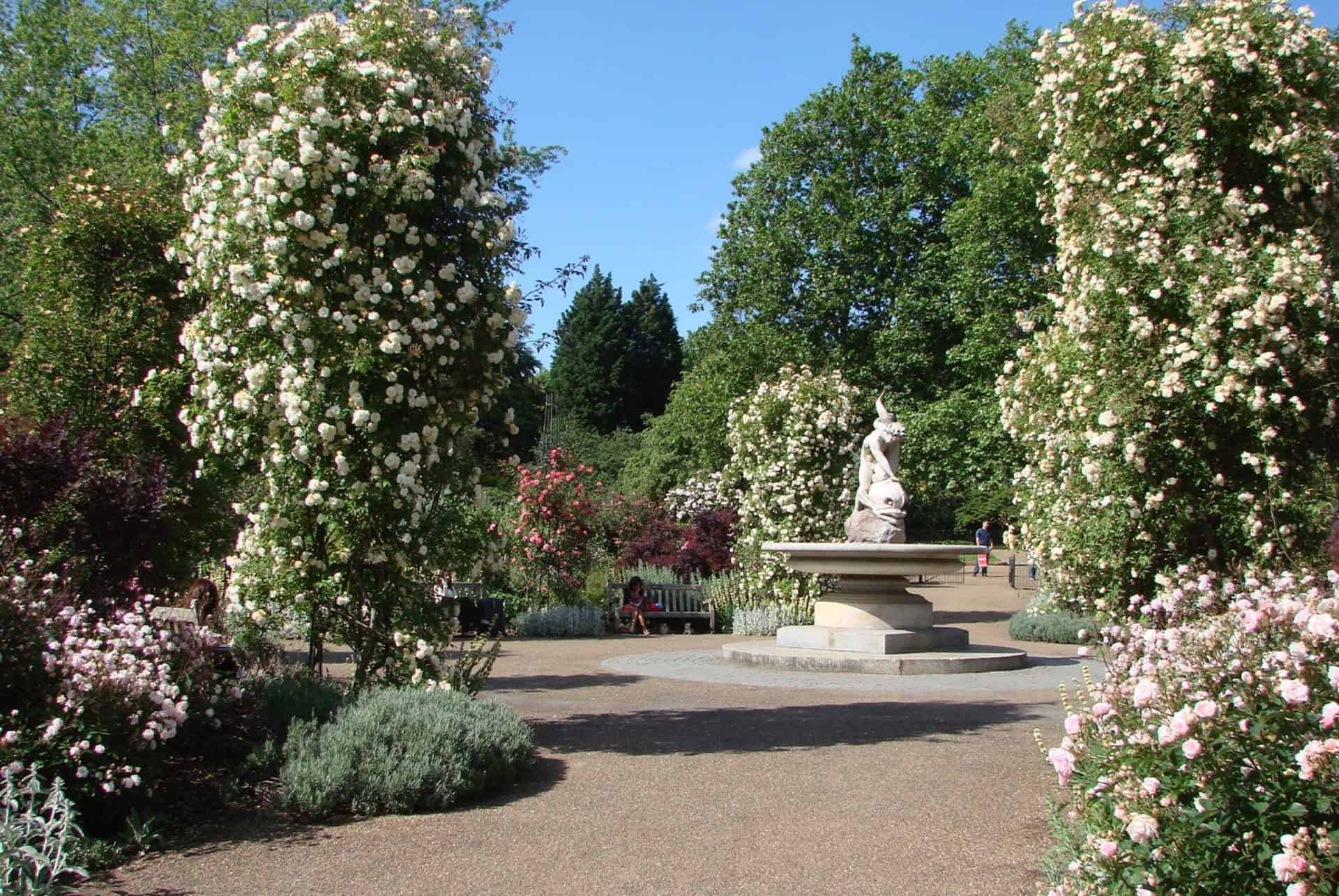 rose garden hyde park