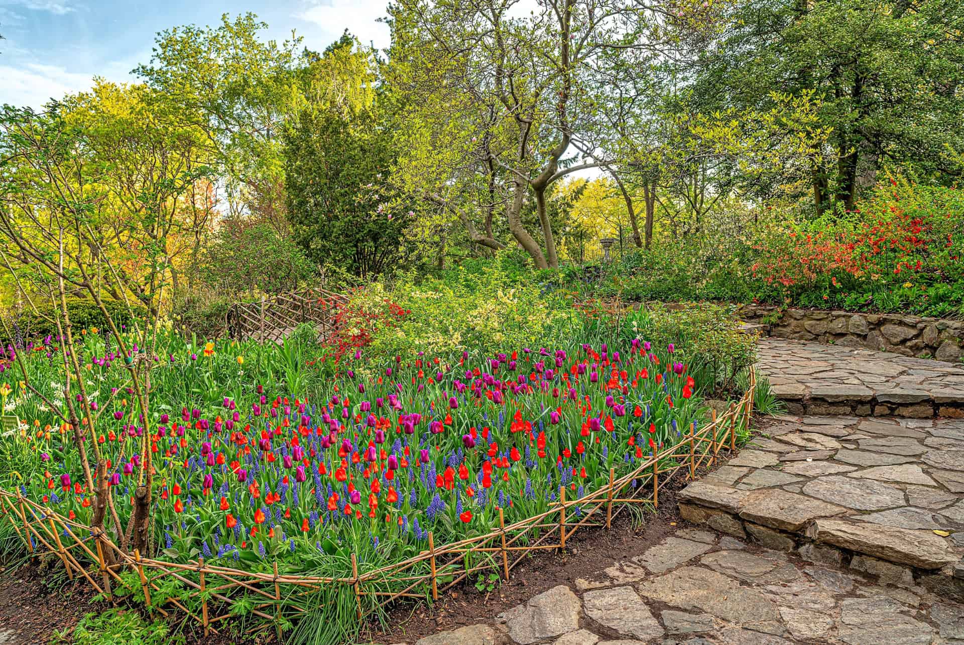 shakespeare garden central park