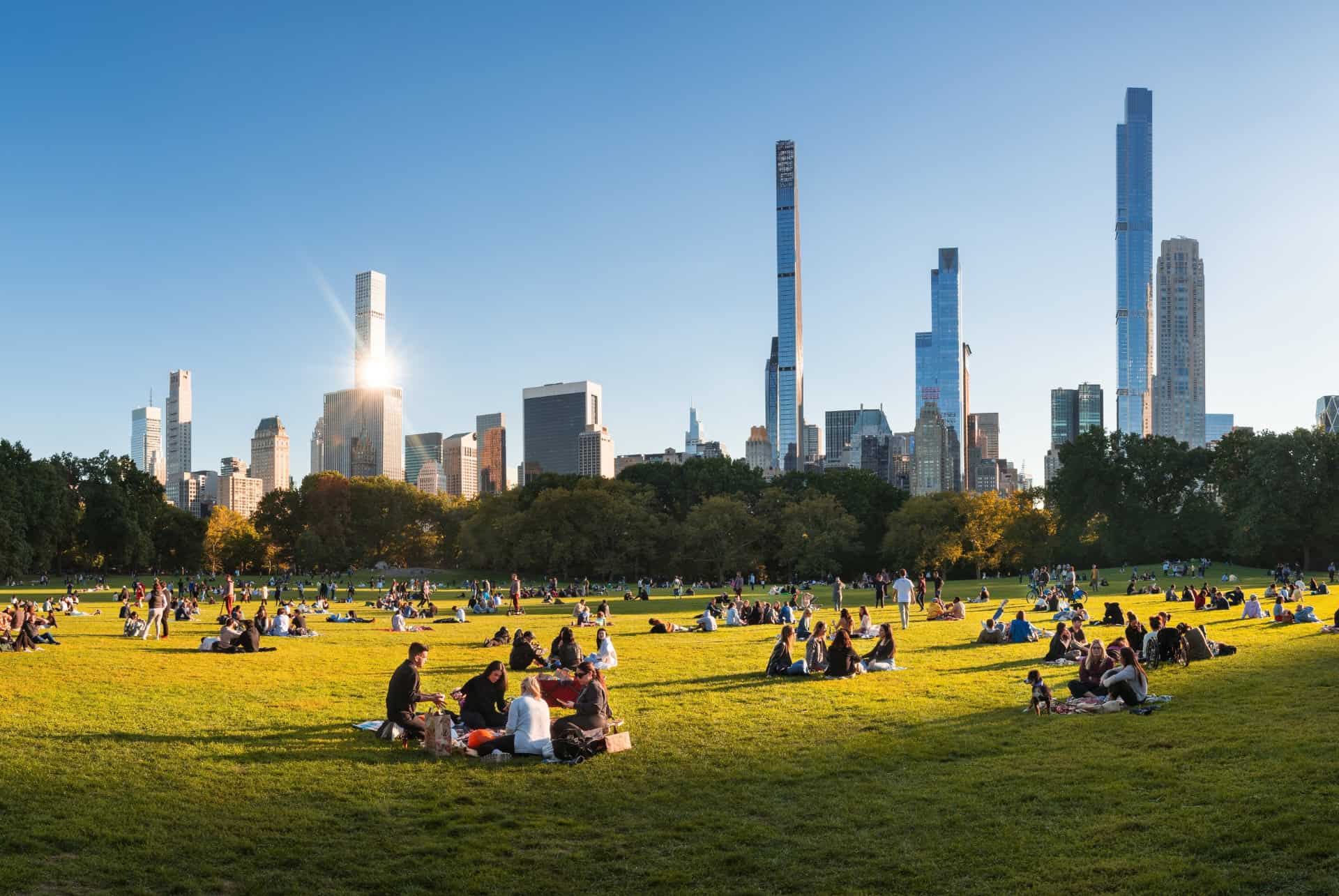 sheep meadow central park