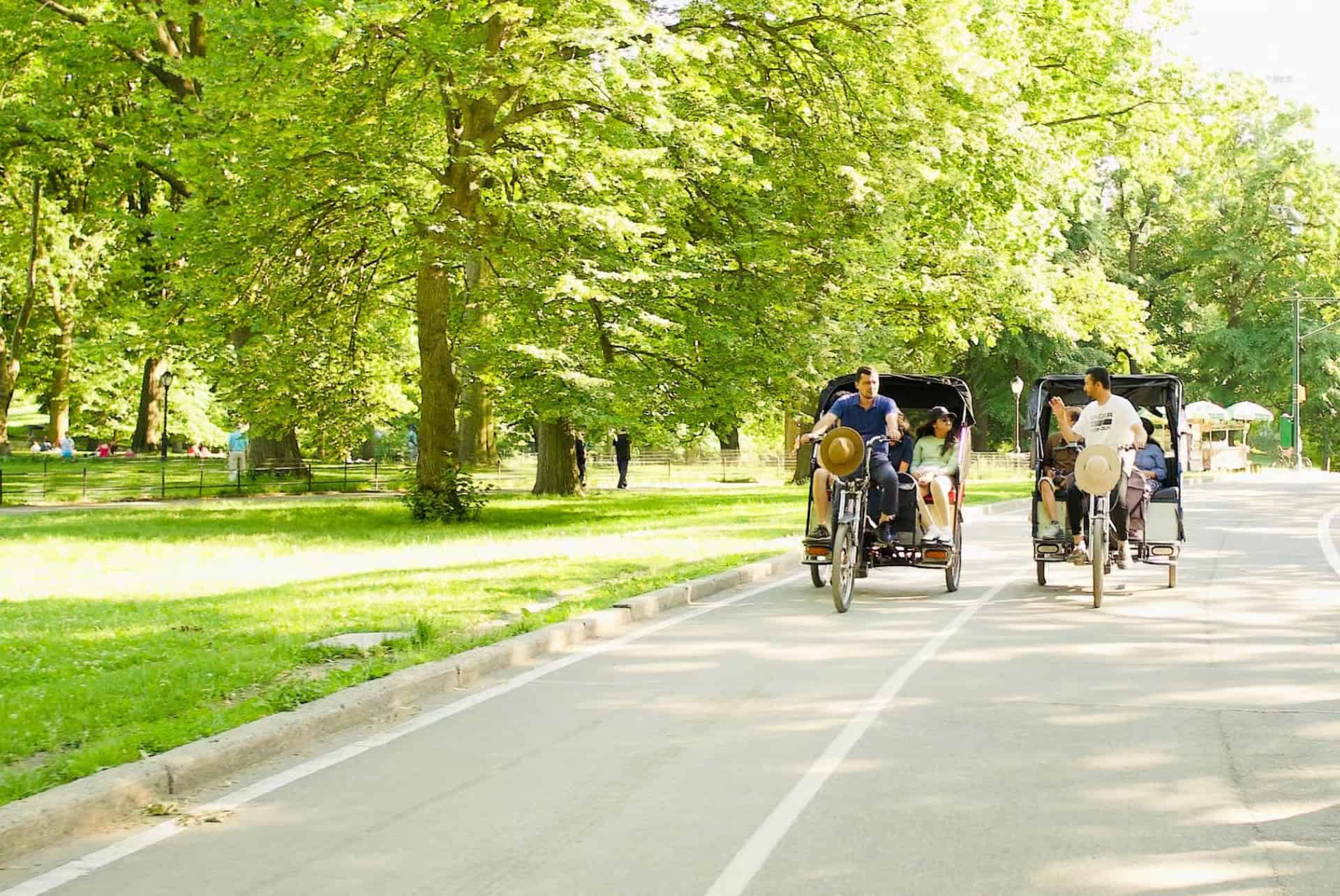 velo taxi central park